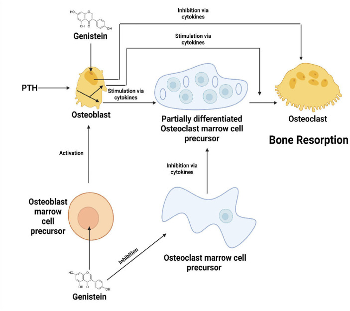 Figure 6