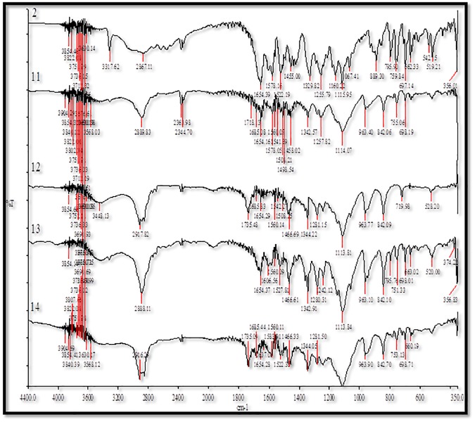 Fig 6