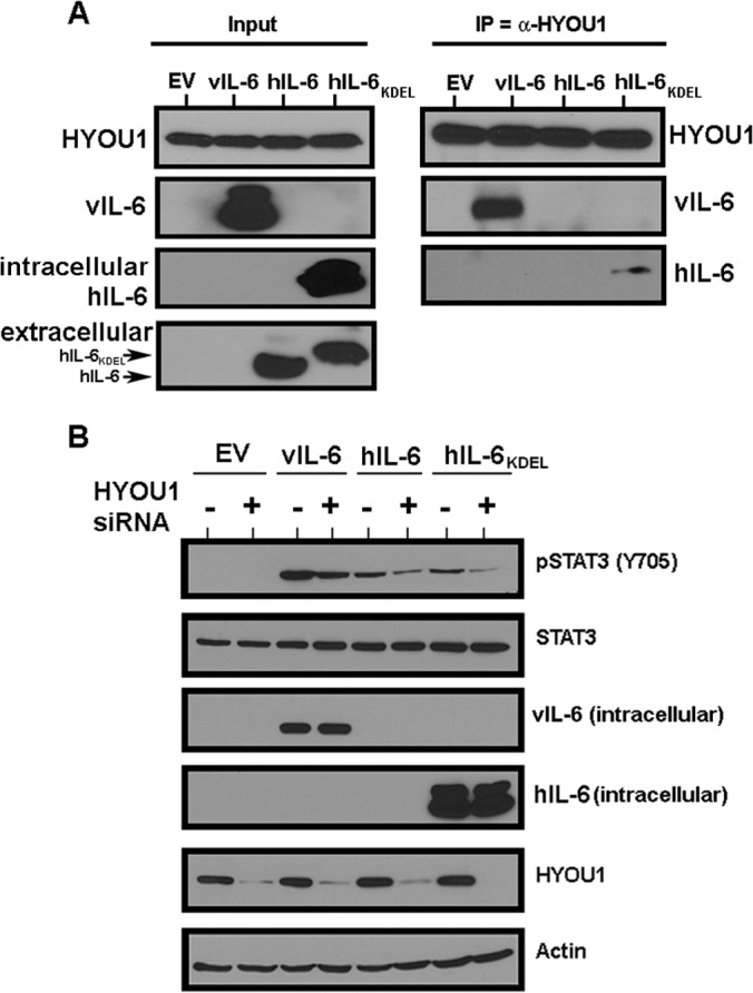 FIG 7