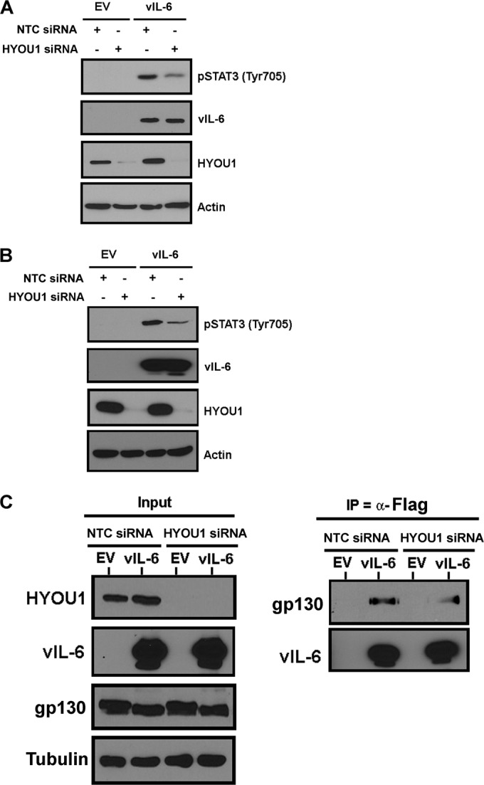 FIG 4