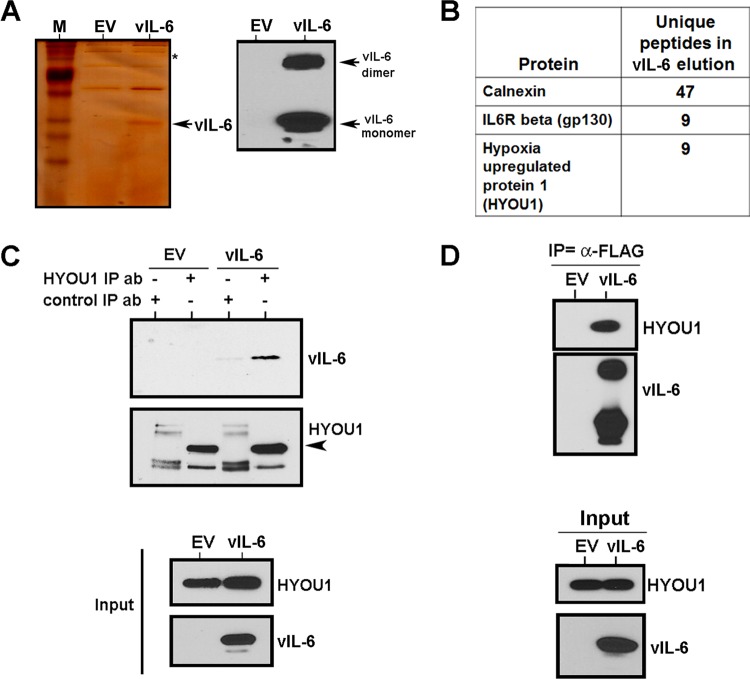 FIG 1