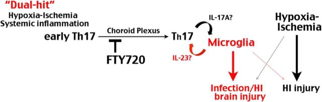 Figure 7.