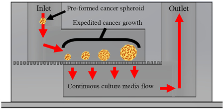 graphic file with name nihms-1019515-f0001.jpg