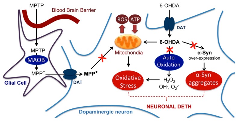 Figure 11