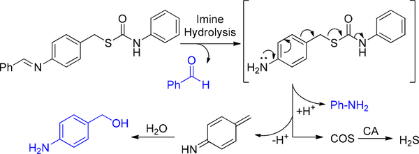 Scheme 3.