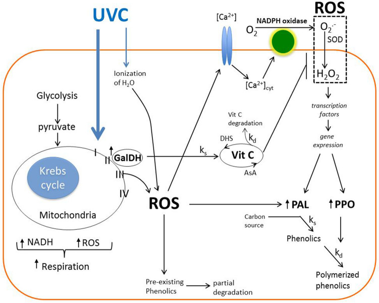 Figure 7