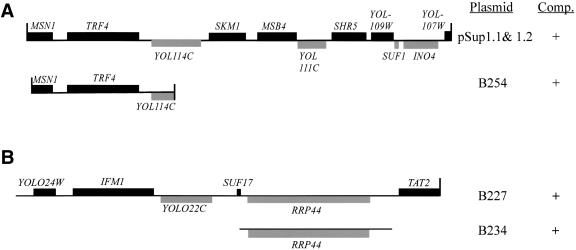 Figure 2.