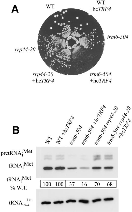 Figure 5.