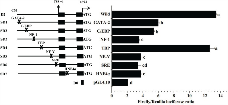 Fig 4