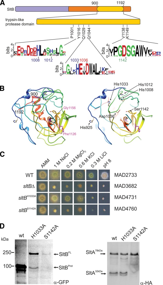 FIGURE 4: