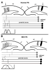 Fig. 12
