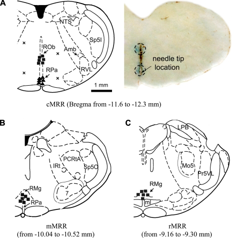 Fig. 5.