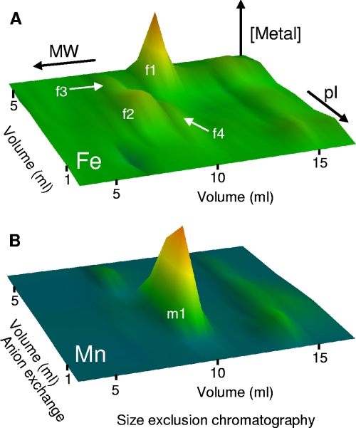 Fig 6