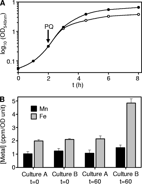 Fig 5