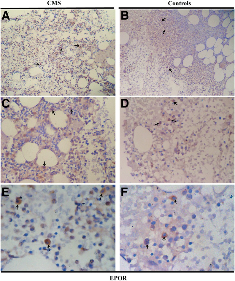 FIG. 7.