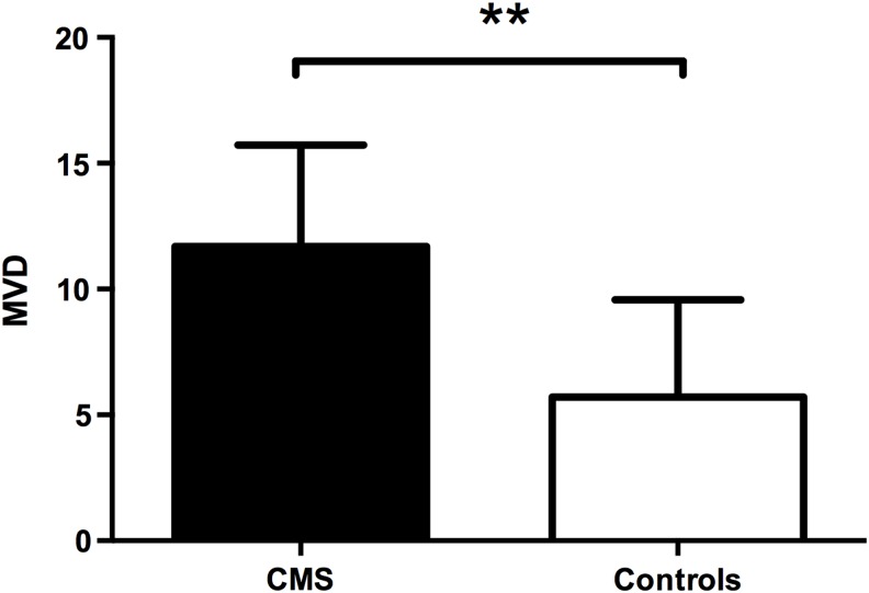 FIG. 9.