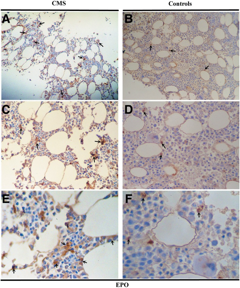 FIG. 6.