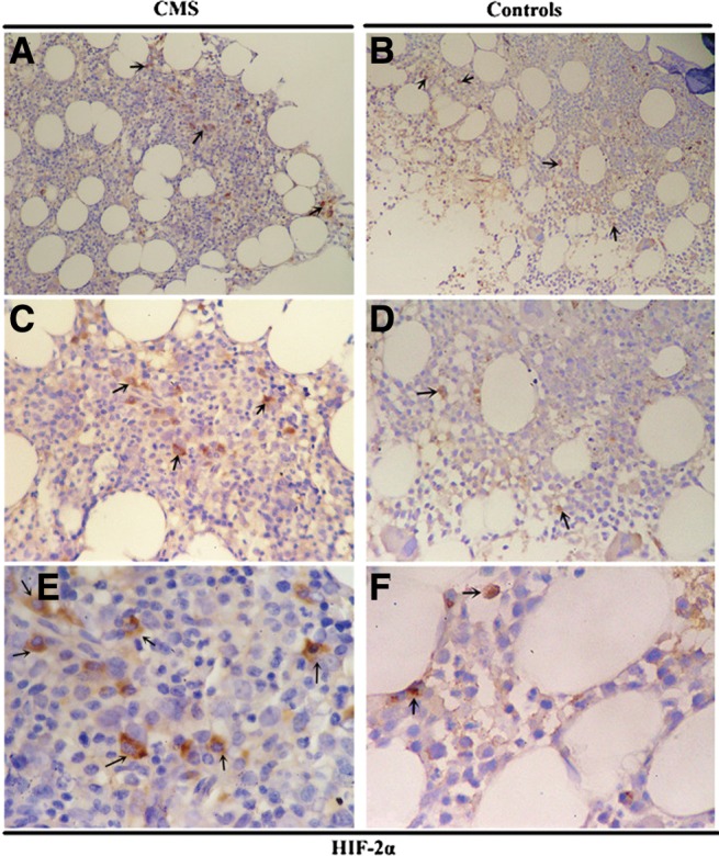 FIG. 5.