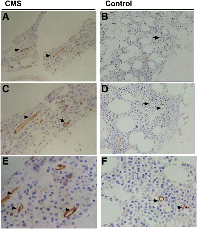 FIG. 8.