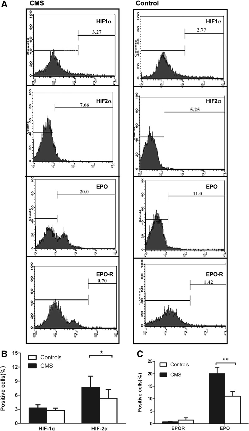 FIG. 2.