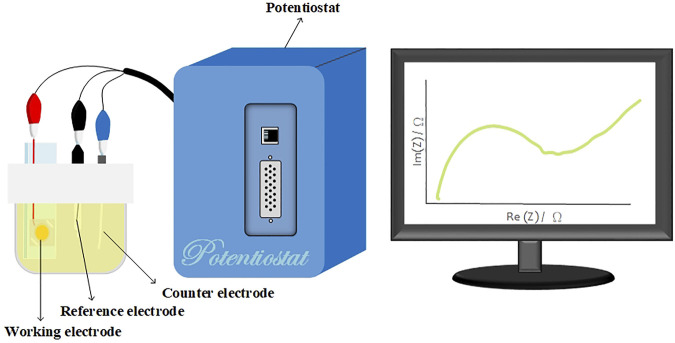 FIGURE 3