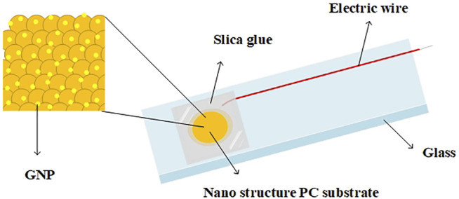 FIGURE 1