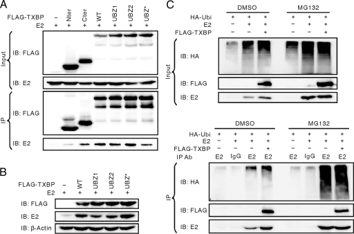 FIG. 9.