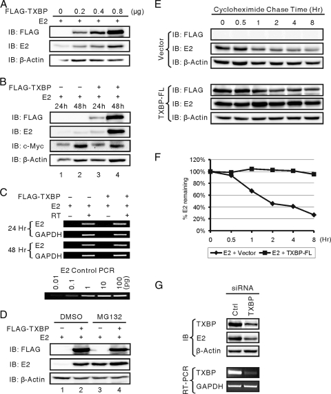 FIG. 6.