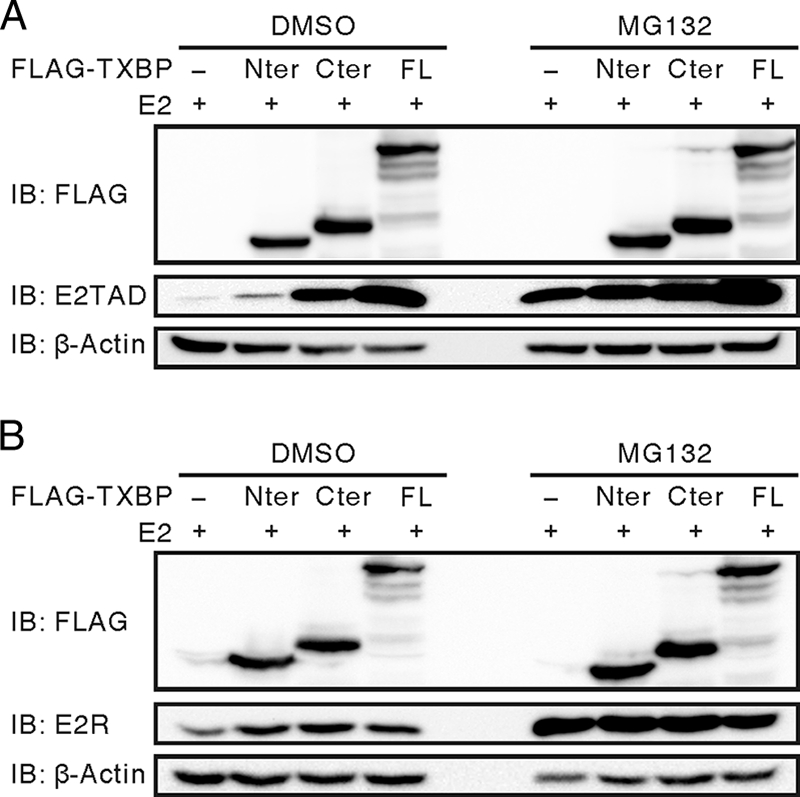 FIG. 8.