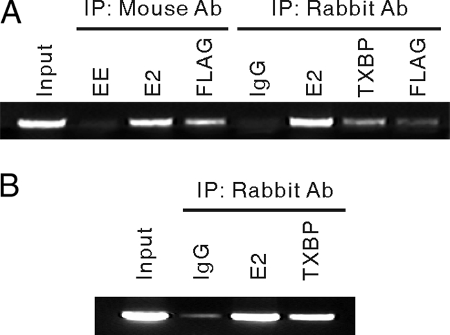 FIG. 5.