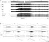 Fig. 9.
