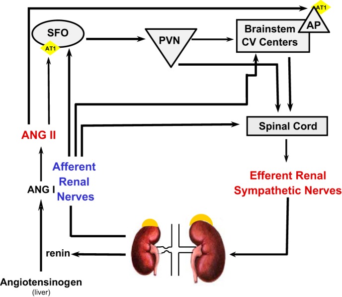 Fig. 10.