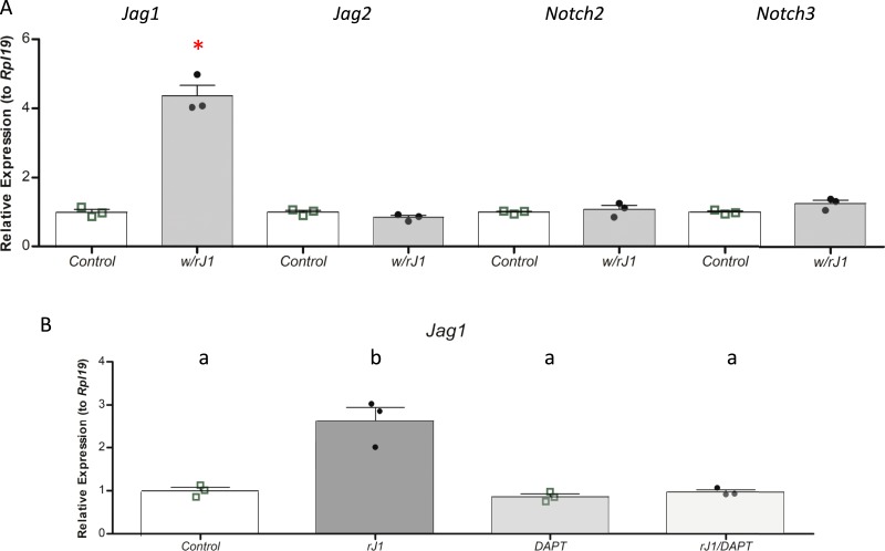 Figure 10.