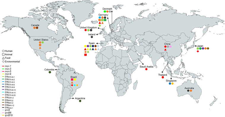 FIGURE 1