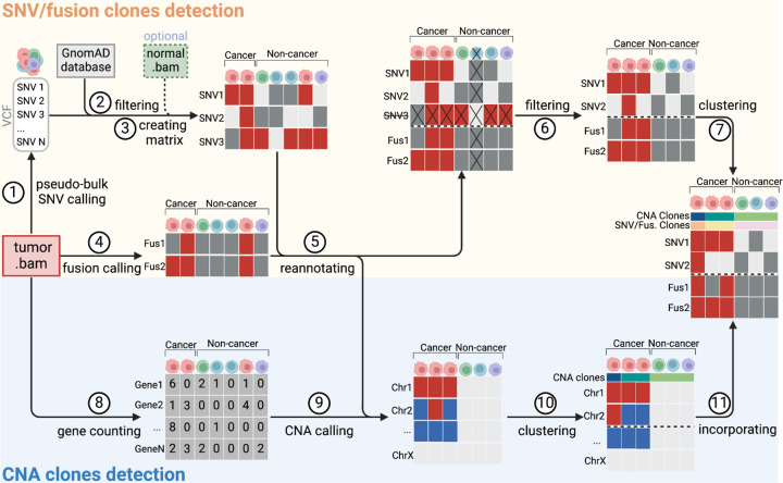 Figure 1: