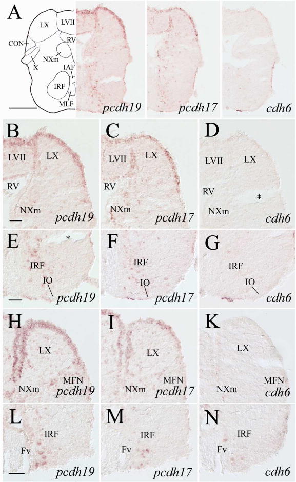 Figure 13