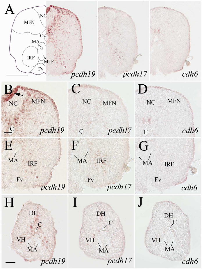 Figure 14