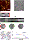 Extended Data Fig. 5