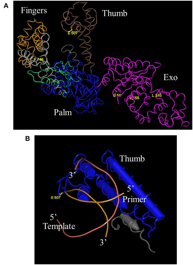 Figure 4