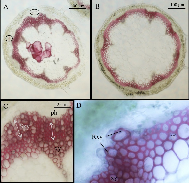 Fig 4