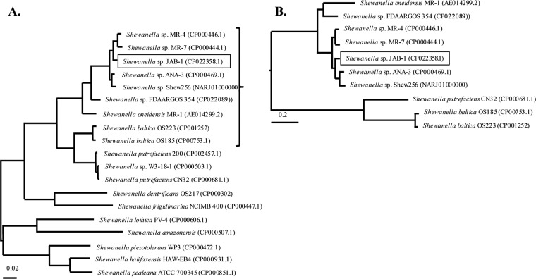 FIG 1