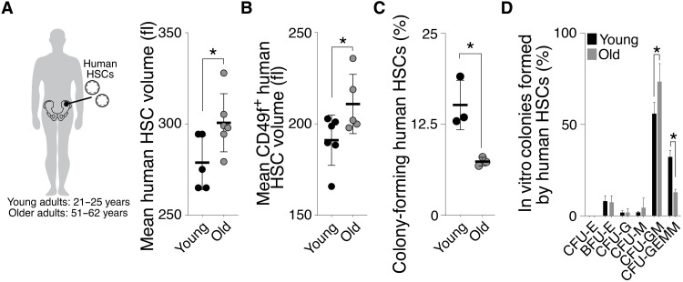 Fig. 9.