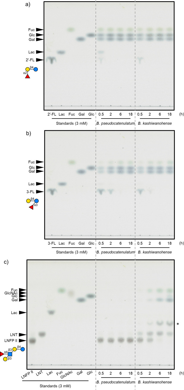 FIG 5