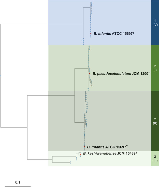 FIG 1