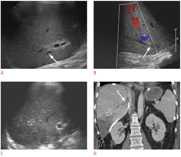 Fig. 27.