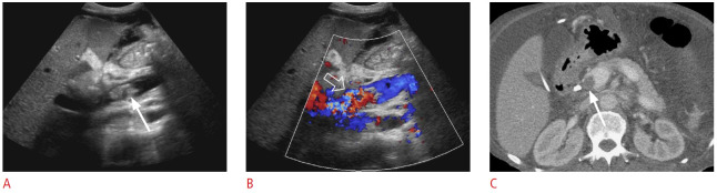 Fig. 25.