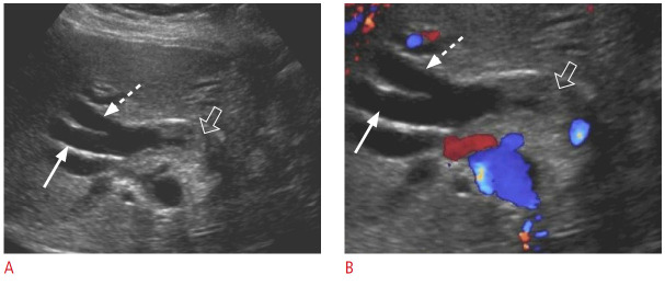 Fig. 8.