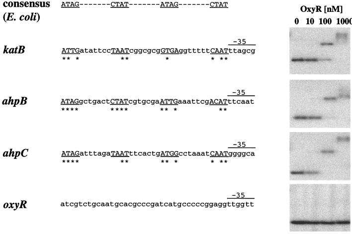 FIG. 6