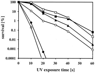 FIG. 8