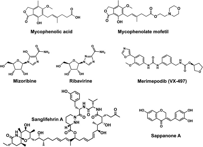 FIGURE 10